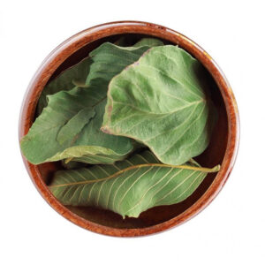 Guava leaves